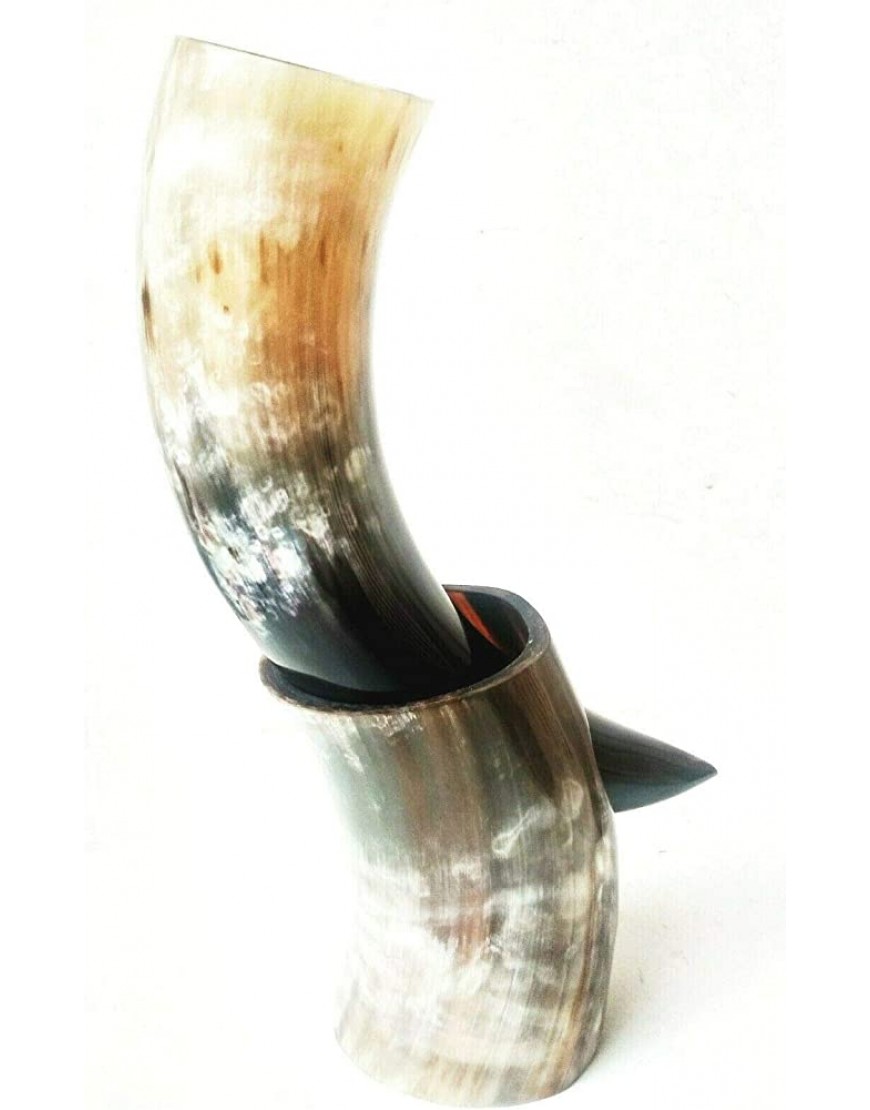 Taza de cerveza nórdica de 10 onzas – Juegos de Tronos – THOR – Cerveza Mead Ale Viking Horn curvada con soporte - BFQFXBJ6