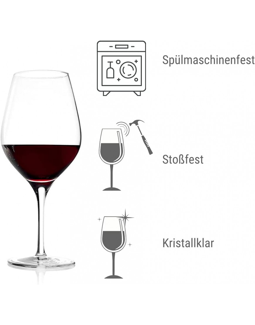Copas para vino tinto Exquisit de Stölzle Lausitz de 480 ml juego de 6 aptas para lavavajillas: Copas para vino tinto universales para diversas variedades de vid con acabado refinado - BUNIC3JH