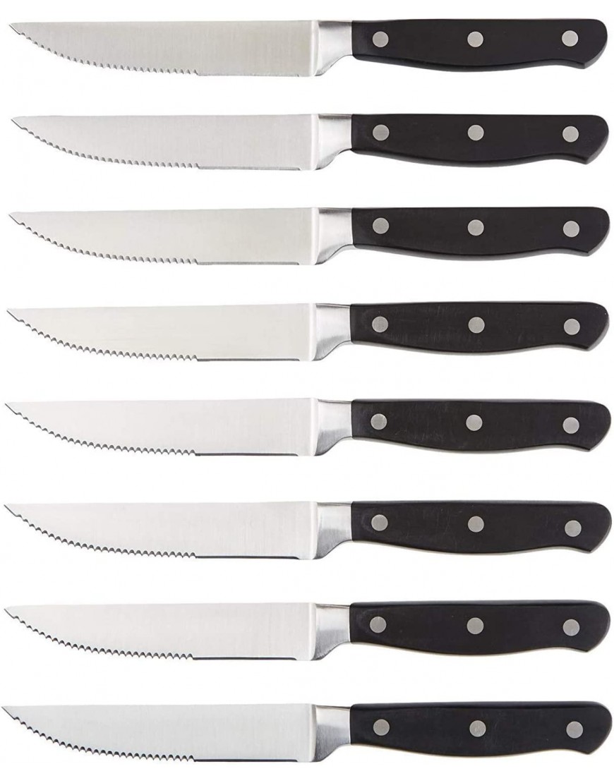 Basics Tenedores de mesa de acero inoxidable con punta redonda juego de 12 + Juego de 8 cuchillos de carne - BDVRX3AK